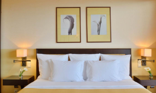 Double Occupancy Partner