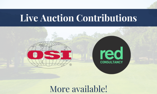 Live Auction Contribution