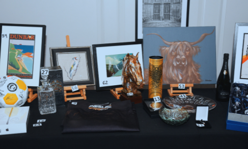 Silent Auction Contribution