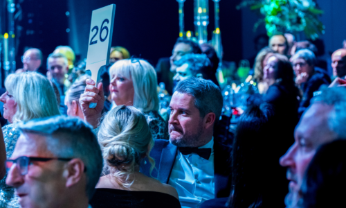 The Live Auction Package