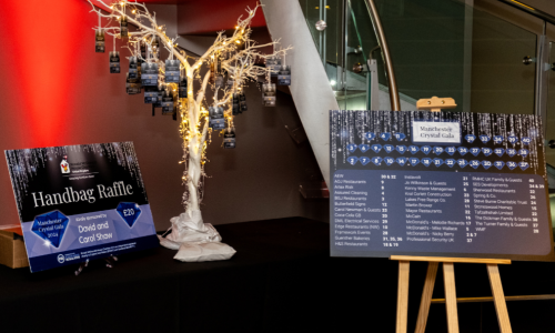The Handbag Raffle Package
