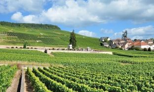 'In The Footsteps Of Dom Perignon' A Magical 3 Night Champagne Escape For Two People To Legendary Hautvillers, France