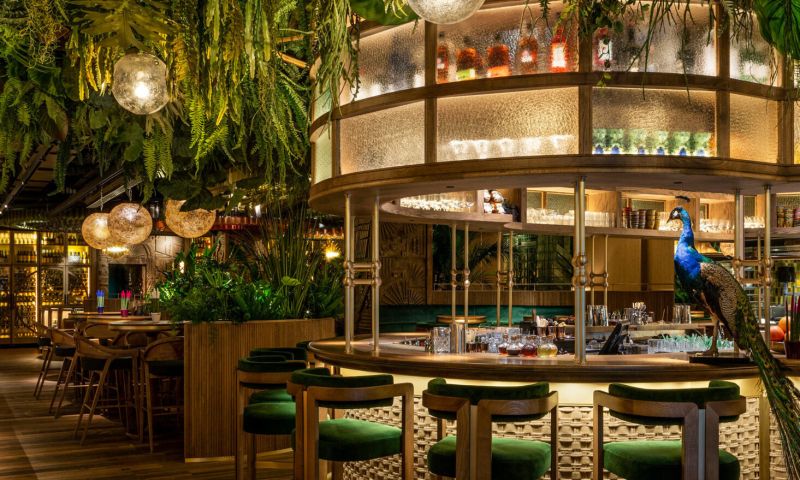 Private Dining at Amazonico, London for 10 people