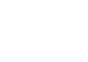 The Bone Cancer Masquerade Ball