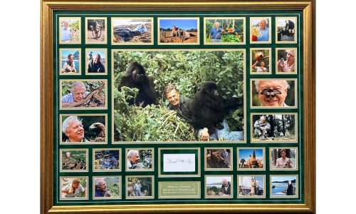 Sir David Attenborough