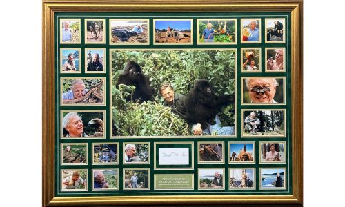 Sir David Attenborough