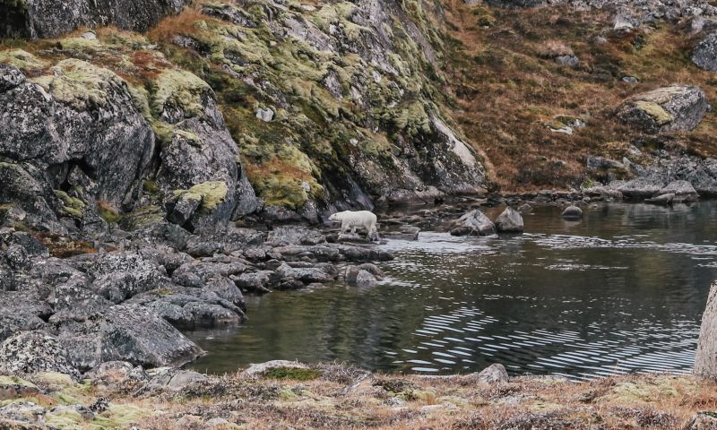 Six-night, seven-day GREENLAND ADVENTURE FOR UP TO 8 PEOPLE