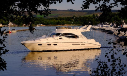 Cruise by Cameron
