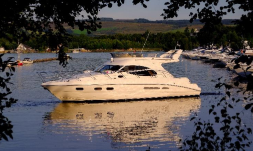 Cruise by Cameron