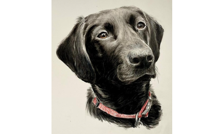 Commissioned portrait of your pet