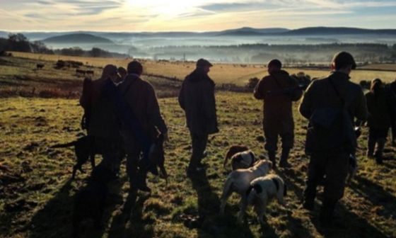 Walked up shooting for two guns at Leys Estate with accommodation