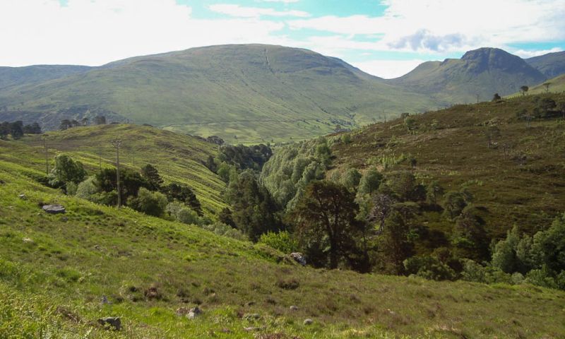 Walked up sport on Meggernie Estate, Glen Lyon, Perthshire