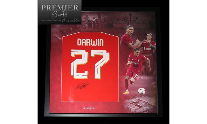 Darwin Nunez Frame