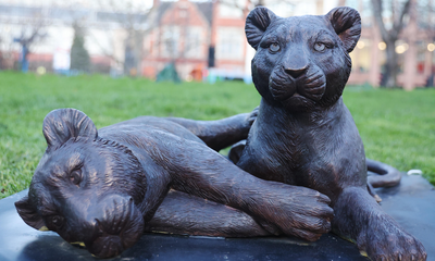 Stunning Bronze Double Cub