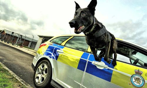 VIP experience for 2 people RAF Police
