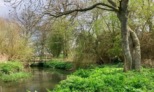 Fly Fishing on a Hampshire Chalk Stream