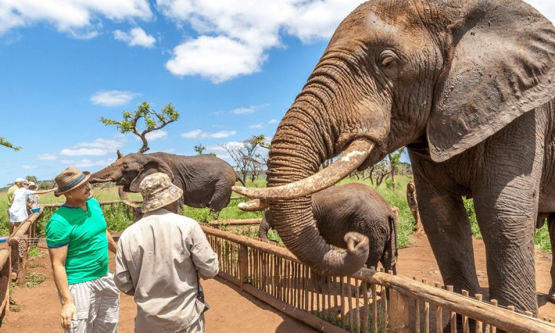 South Africa Zulu Nyala Safari  Six Nights For Two People