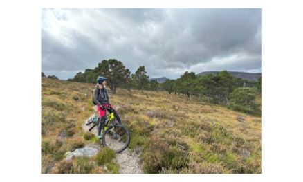 A day's guided mountain biking in the Perthshire hills
