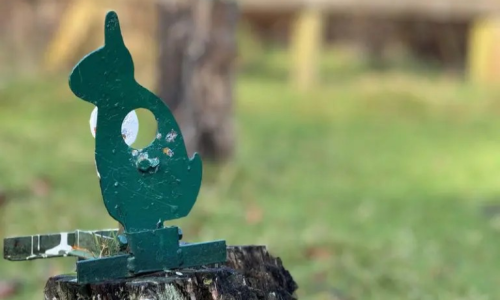 An air rifle exclusive experience for 2 at County Clays
