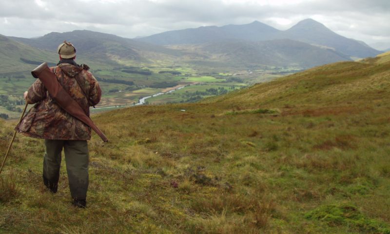 Stalking for 1 rifle at Auchlyne Estate, Killin