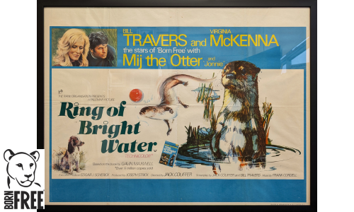 Ring of Bright Water (1969) - Vintage Film Poster – Celebrating the Legacy of Virginia McKenna & Bill Travers