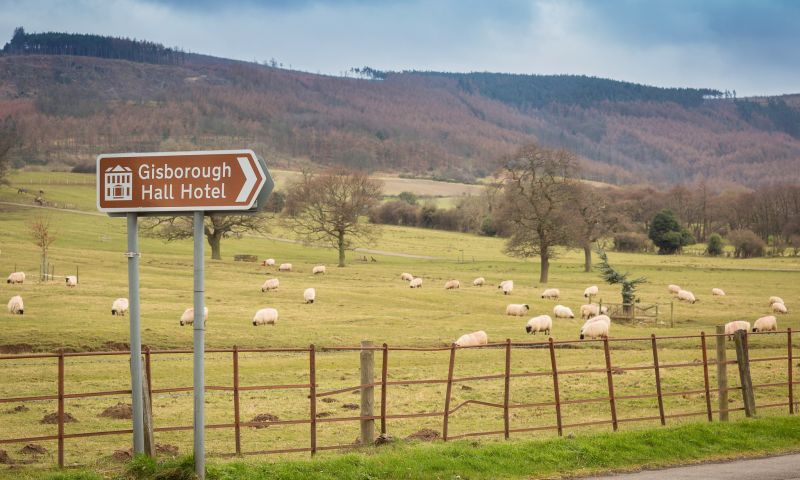 Rough shooting for two guns on Gisborough Estate shoot