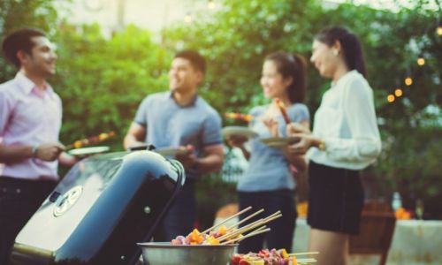 Host your own Garden Party for up to 20 people