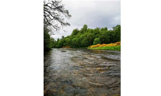 2 day's salmon fishing for 2 rods on Delnabo Estate including 3 night's accommodation