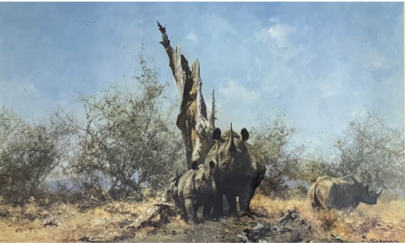 'Rhino Beware' – Limited Edition Print by David Shepherd OBE