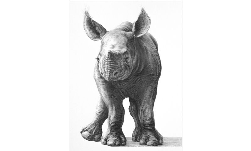 LIMITED EDITION 1/99 EMBELLISHED PRINT- 'Wobbly' by Gary Hodges