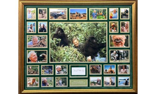 Sir David Attenborough