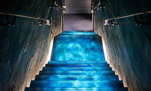 Dining at Hakkasan, London, for 12 people