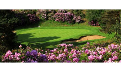 Golf for four at Woburn Golf Club