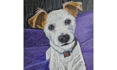A Portrait of your Pet
