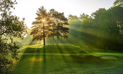 Team at Variety Mixed Open - Sunningdale Heath, 10th July 2025