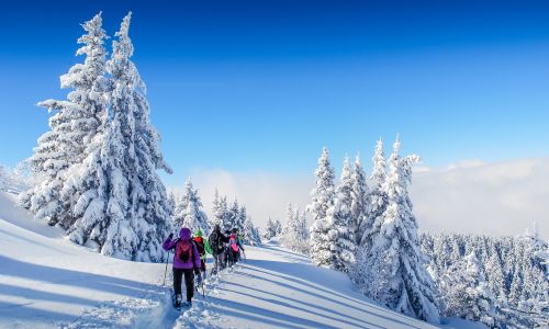 SKIING IN THE DOLOMITES FOR 7 NIGHTS FOR 4 PEOPLE