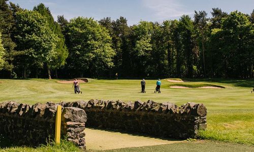 PLAY 18 HOLES WITH 3 PGA PROFESSIONALS FOR 9 PEOPLE