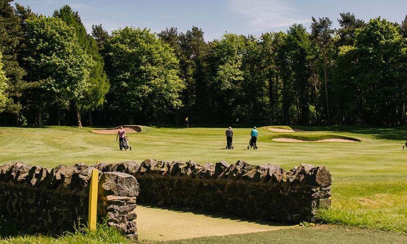 PLAY 18 HOLES WITH 3 PGA PROFESSIONALS FOR 9 PEOPLE