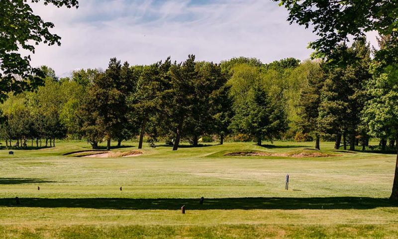 PLAY 18 HOLES WITH 3 PGA PROFESSIONALS FOR 9 PEOPLE