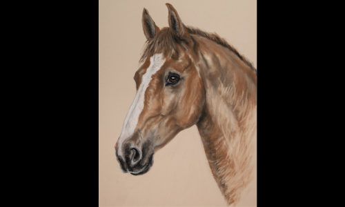 ORIGINAL ARTWORK OF YOUR BELOVED PET