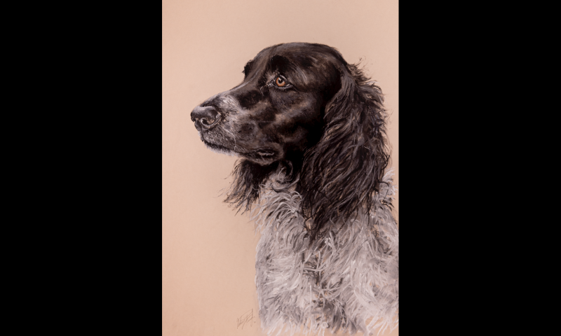 ORIGINAL ARTWORK OF YOUR BELOVED PET