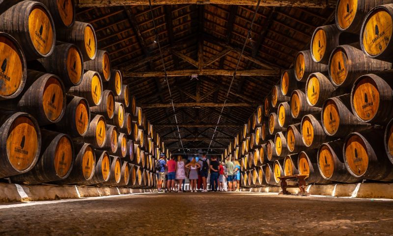 7 NIGHT ESCAPE IN PORTO FOR 8 PEOPLE