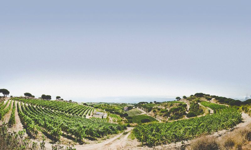 7 NIGHT ESCAPE IN BARCELONA FOR 8 PEOPLE