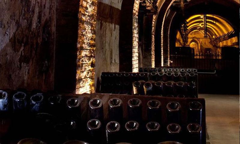 PRIVATE PLANE TO POMMERY CHAMPAGNE HOUSE FOR 8 PEOPLE