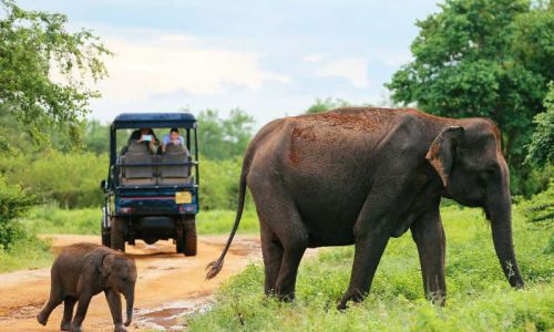 6 Night Sri Lankan Adventure - A Jewel In The Indian Ocean