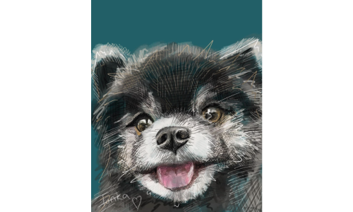 Commissioned Pet Portrait