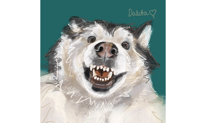 Commissioned Pet Portrait