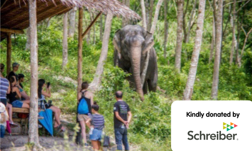 Ultimate Thailand Experience For Two People