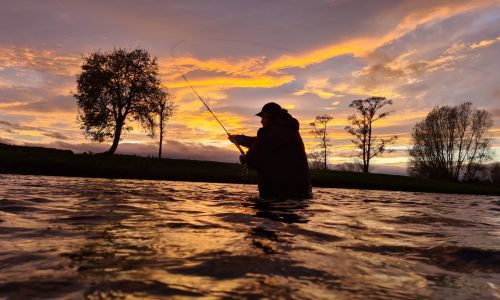 Fly Fishing Masterclass on the Tweed for 4 people