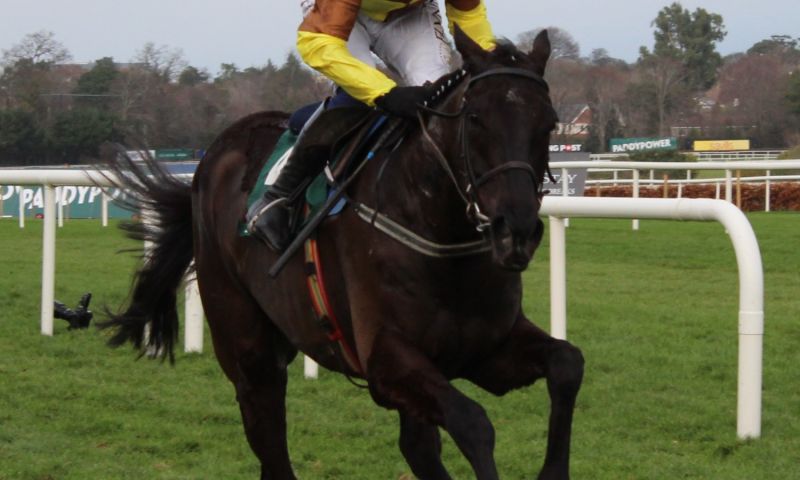 Two Night Stay for the Dublin Racing Festival 2026 with Celebrity Preview Evening  2 people